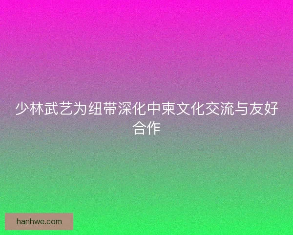 少林武艺为纽带深化中柬文化交流与友好合作